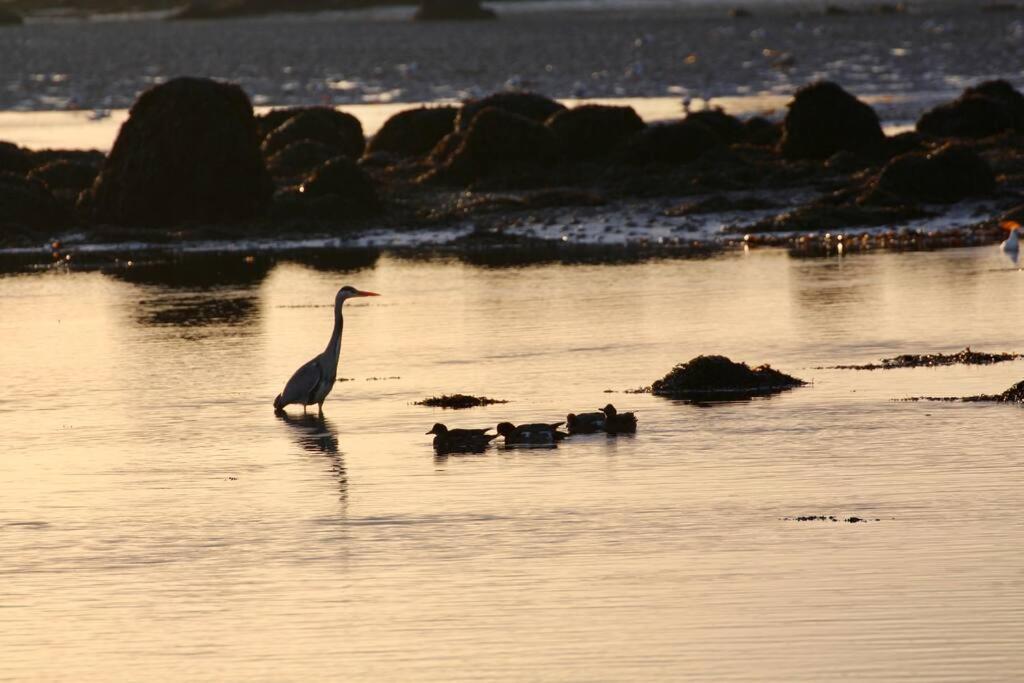 Curlews Rest - Gateway To The Aran Islands Lejlighed Galway Eksteriør billede